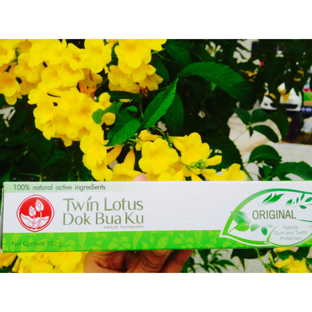 Kem đánh răng thảo dược TWIN LOTUS - ORIGINAL 150gr (Đà Nẵng)