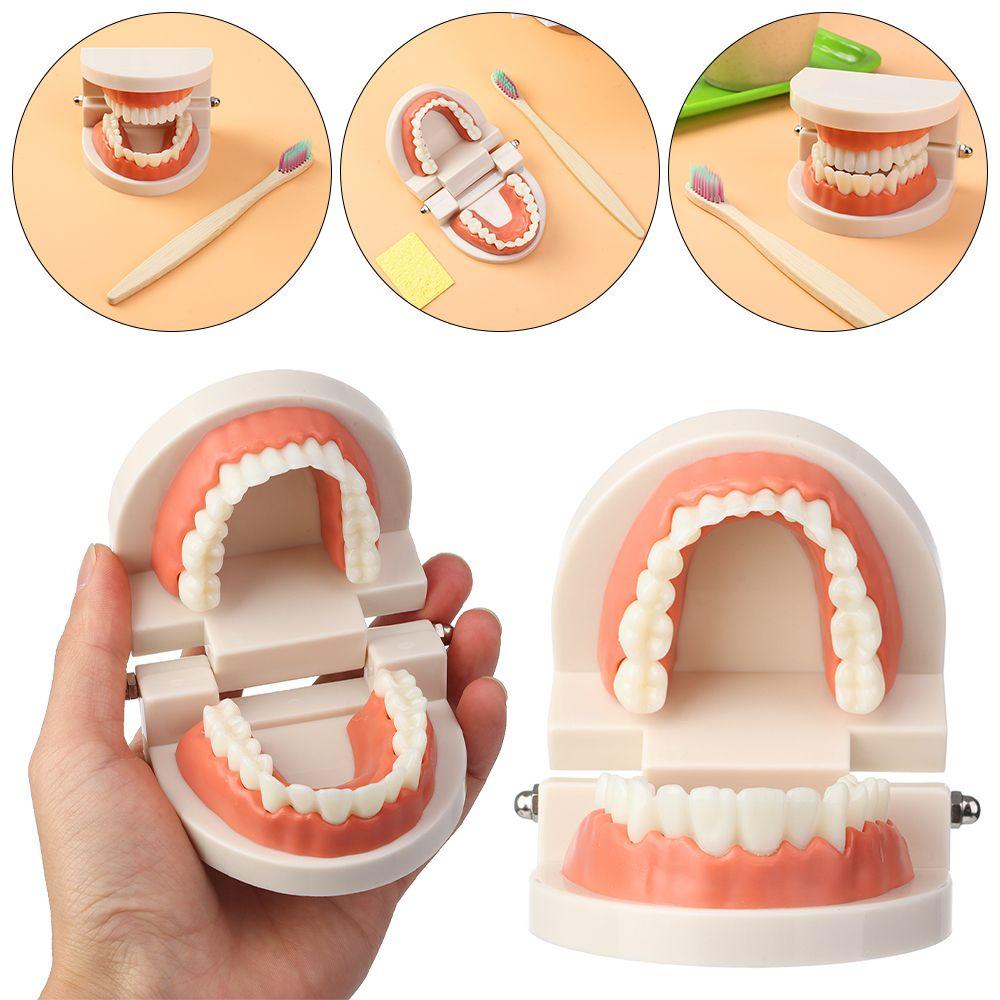 Layor1 Bộ Bàn Chải Đánh Răng Giúp Bé Học Theo Phương Pháp Montessori