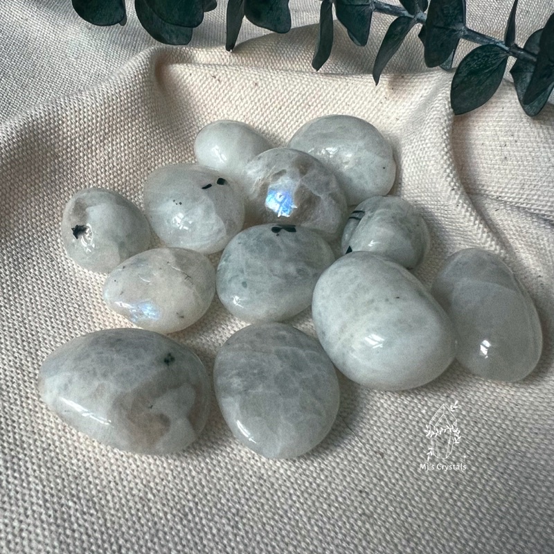 ᴆᴀ́ ᴠɪᴇ̂ɴ 𝘛𝘶𝘮𝘣𝘭𝘦𝘥 Mᴏᴏɴsᴛᴏɴᴇ ʙʀᴀᴢɪʟ sᴜ̛ᴜ ᴛᴀ̂̀ᴍ, ᴛᴀʀᴏᴛ, ʜᴀɴᴅᴍᴀᴅᴇ, ʀᴇɪᴋɪ, ᴛʜᴀɴʜ ᴛᴀ̂̉ʏ ᴛʜɪᴇ̂̀ɴ ᴆɪ̣ɴʜ.