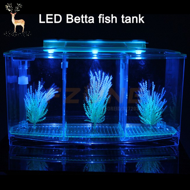 Chậu nuôi cá betta chia 3 ngăn bằng acrylic có đèn LED hỗ trợ cá ấp trứng Bể nuôi cá betta mini 2/3 ngăn có thể tháo lắp