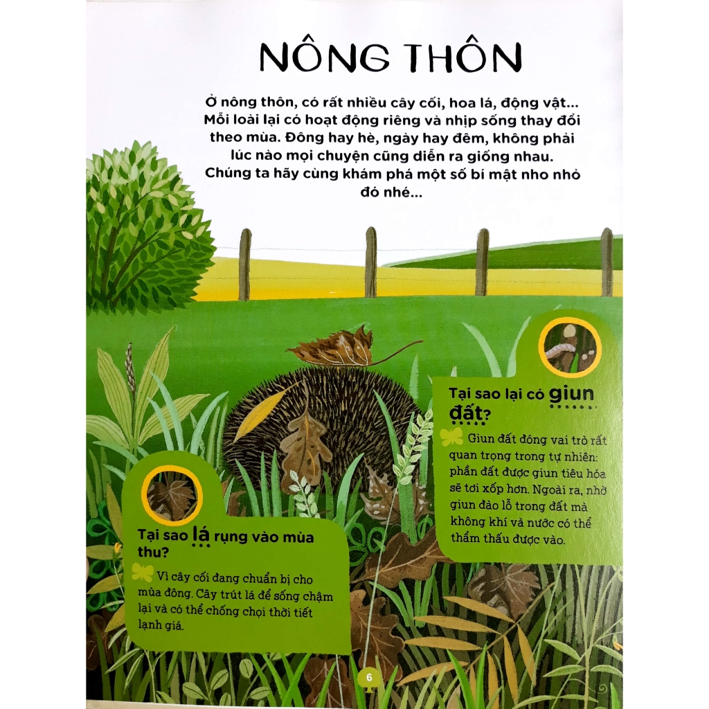 Sách - Bách Khoa Thư Mini - 150 Câu Hỏi Tại Sao?
