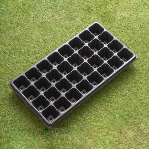 Khay ươm hạt 32 lỗ, 50 lỗ, 72 lỗ, 105 lỗ, 128 lỗ