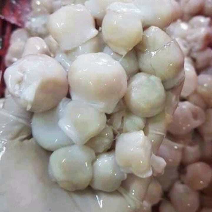 500g Răng mực size lớn, giòn dai (thích hợp nướng/xào), net7