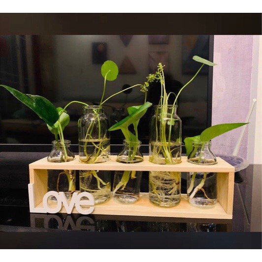 PVN15118 Bộ cắm hoa, trồng cây màu gỗ tự nhiên T2