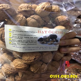 hạt óc chó - quả óc chó loại ngon - quaoccho