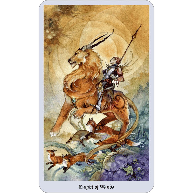 Bộ Bài Shadowscapes Tarot – Bookset Edition (Mystic House Tarot Shop)