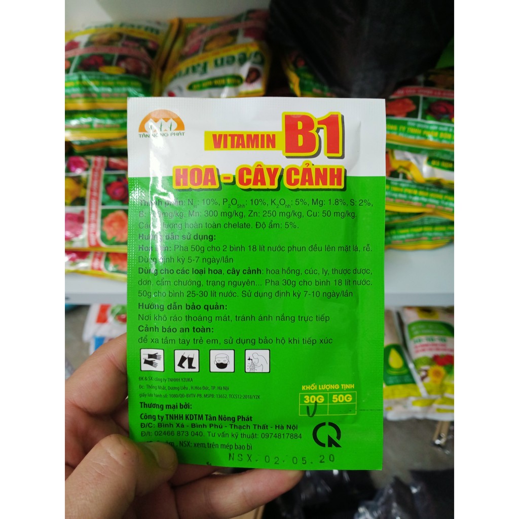 Phân Bón Vitamin B1 Cho Lan, Hoa Và Cây Cảnh