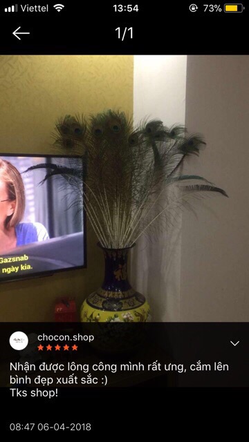 Combo 10 lông công xanh 95-100cm mắt đại | BigBuy360 - bigbuy360.vn