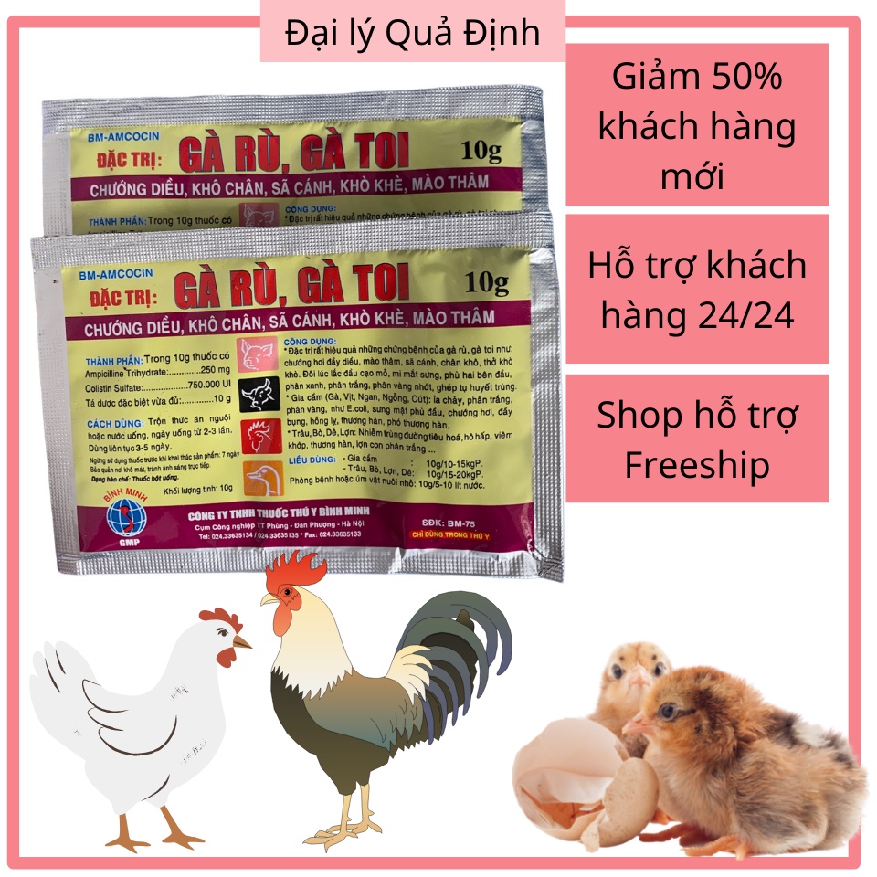 GÀ RÙ GÀ TOI-Khô Chân, Sã Cánh,Chướng Diều, Mào Thâm
