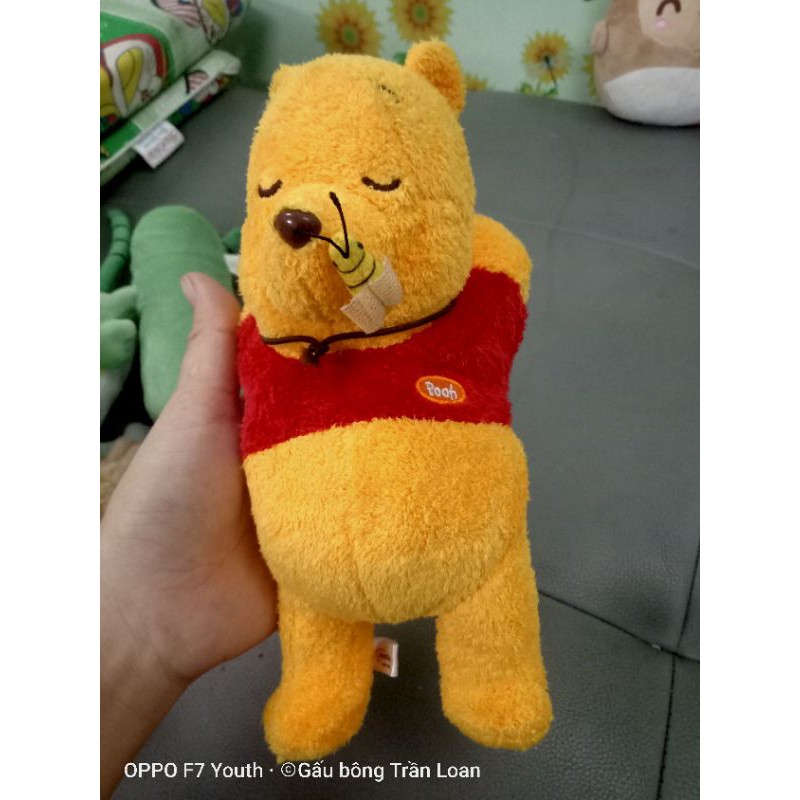 Gấu bông tháng 11