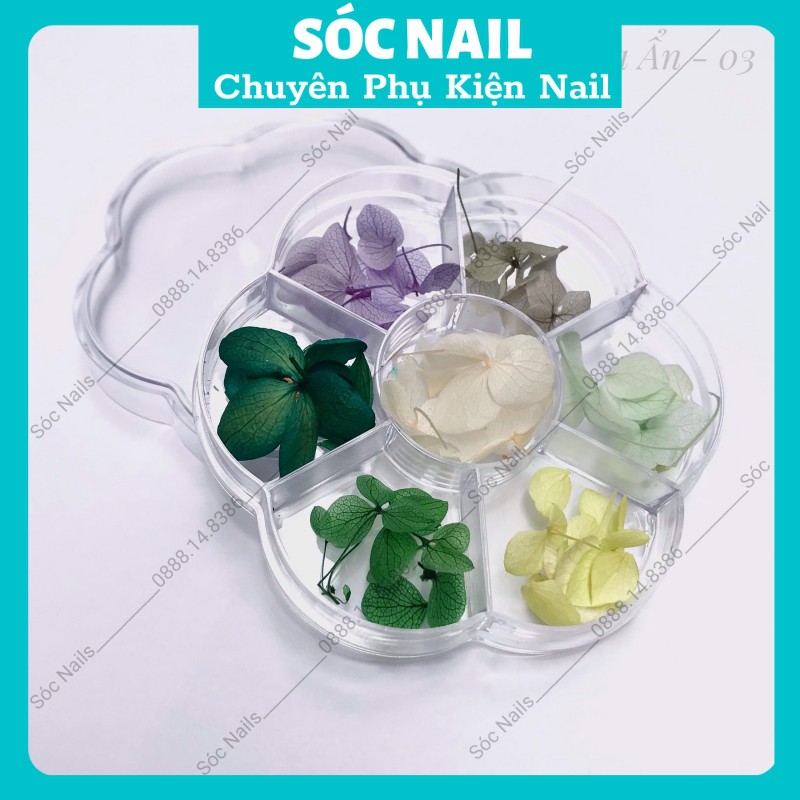 Hoa Khô Lụa Ẩn Móng Gel Nail Giá Rẻ,Hoa Trang Trí Móng Hàn Quốc 7 Màu