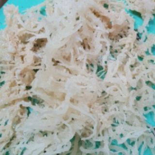 Rong sụn dùng nấu chè, làm gỏi, nấu thạch rau câu