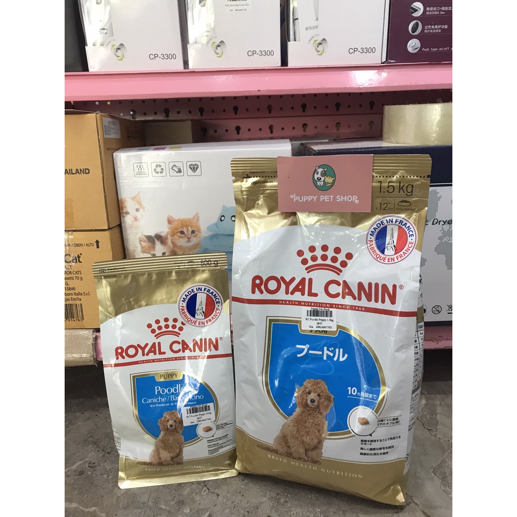 Royal Canin Poodle Puppy Thức Ăn Dành Riêng Cho Poodle Dưới 10 Tháng Tuổi