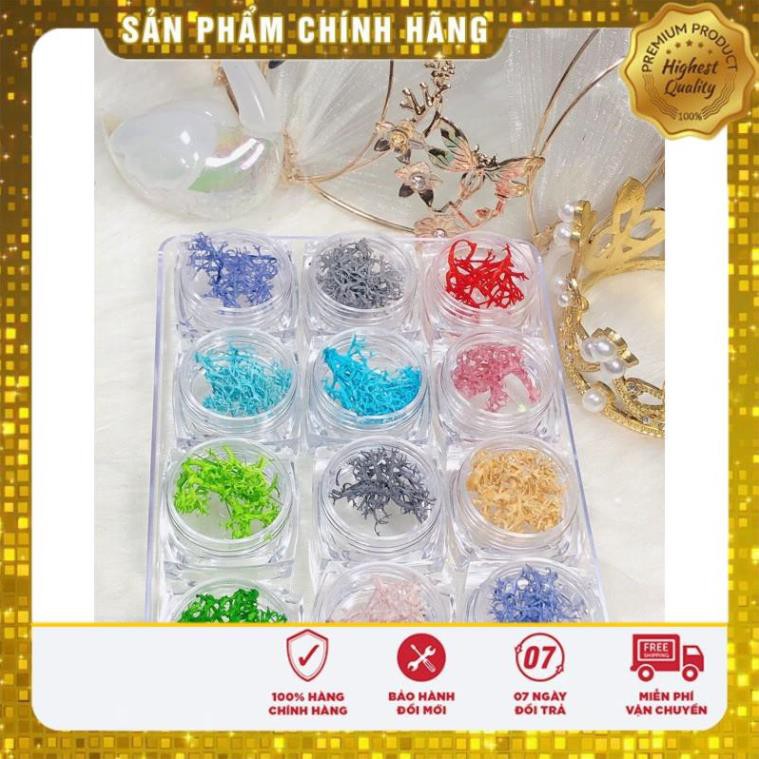 set san hô làm nail 12 hũ đủ mầu