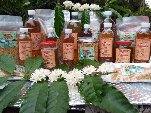 MẬT ONG 2 lít mật ong nguyên chất hoa cà phê đaklak ( hoàn tiền nếu không đúng mô tả ) mật ong thiên nhiên cà phê. | BigBuy360 - bigbuy360.vn