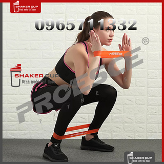 Dây Mini Band Proesce Fitness, Dây Kháng Lực Tập Mông Đùi