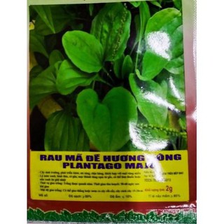 HẠT RAU MÃ ĐỀ - GÓI 2 GRAM
