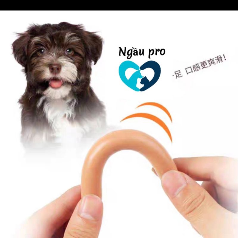 Xúc xích snack cho chó mèo taotaopet, Thức ăn thưởng cho chó mèo cưng loại gói 30cây