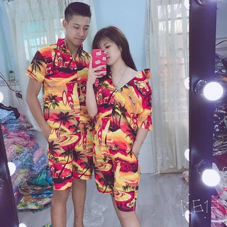 Bộ cây dừa cam đủ size  gia đình