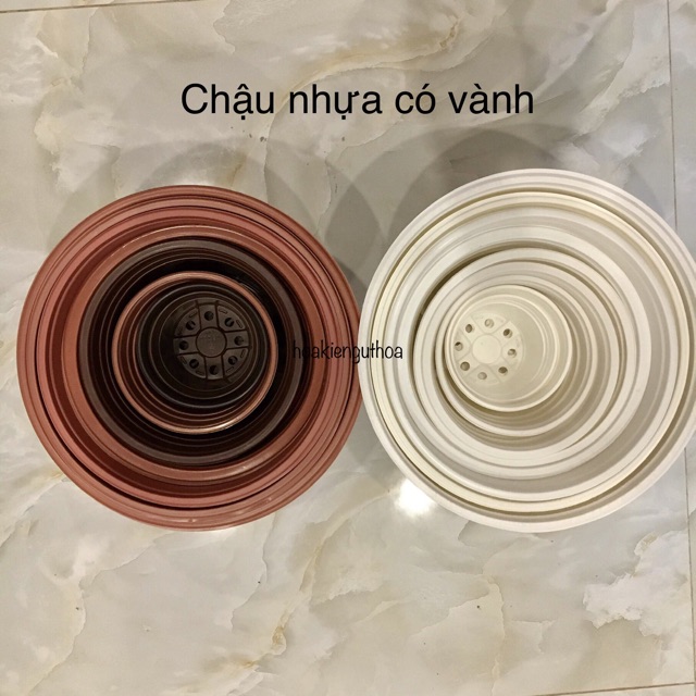 [ Sỉ từ 20 cái] Chậu nhựa nâu N35 size lớn nhất