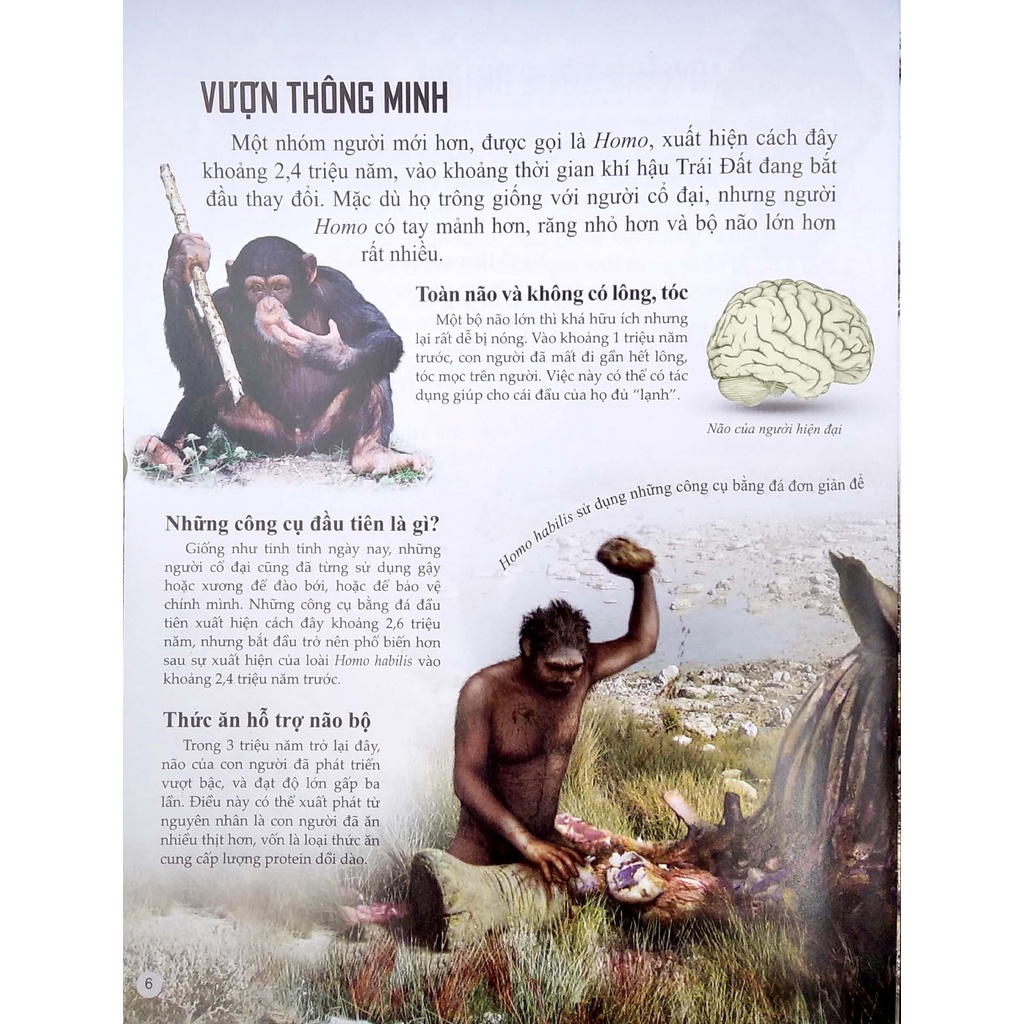 SÁCH - Bách khoa tri thức về khám phá thế giới cho trẻ em - Early people - Người cổ đại