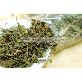 Chè lá vằng sẻ