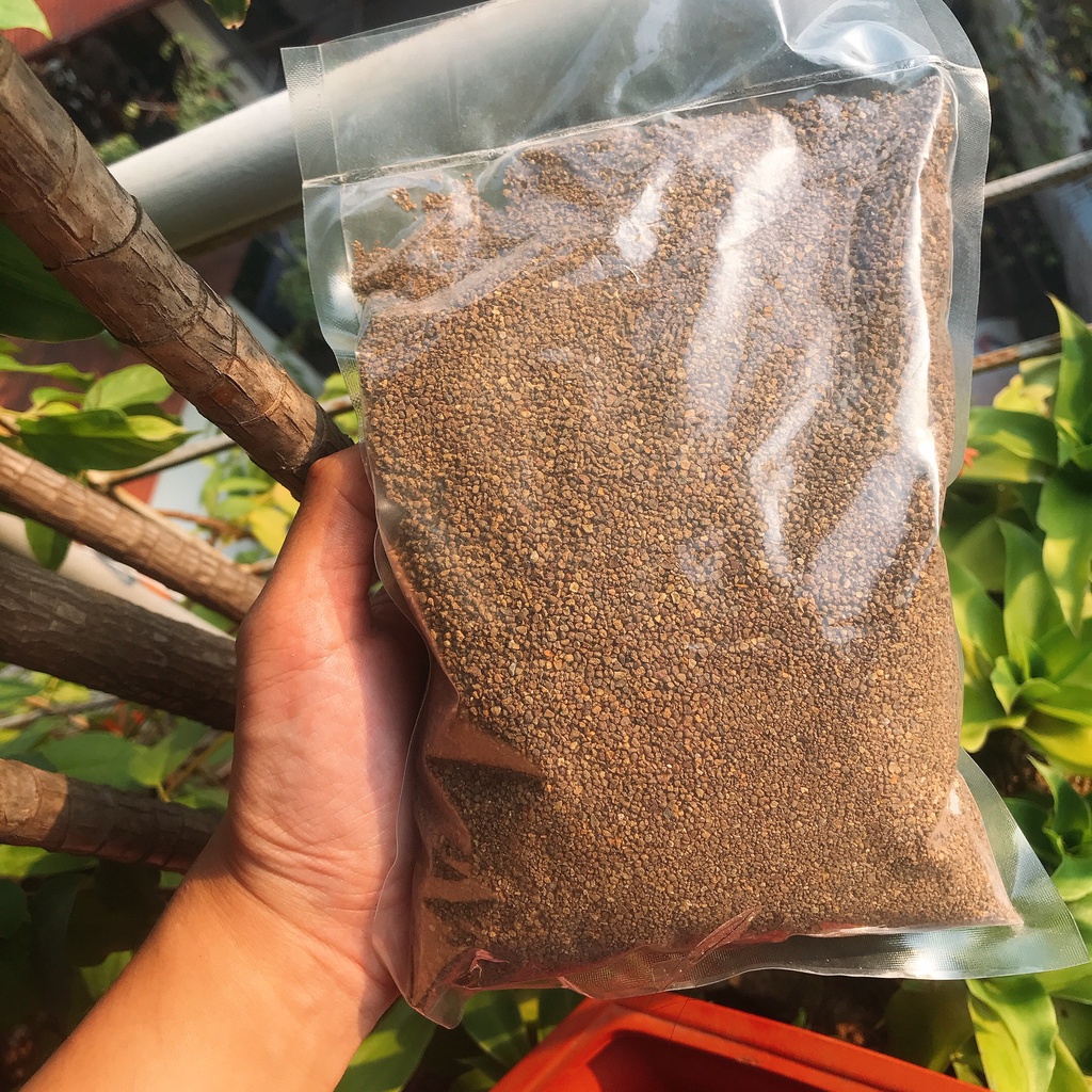 Cát Buddy Hamster, cát lót chuồng Hamster 1kg