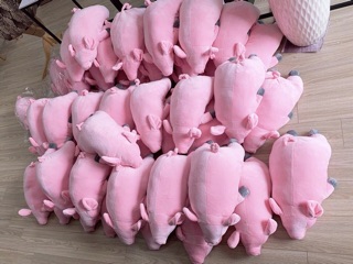 GẤU BÔNG HEO LƯỜI 50CM