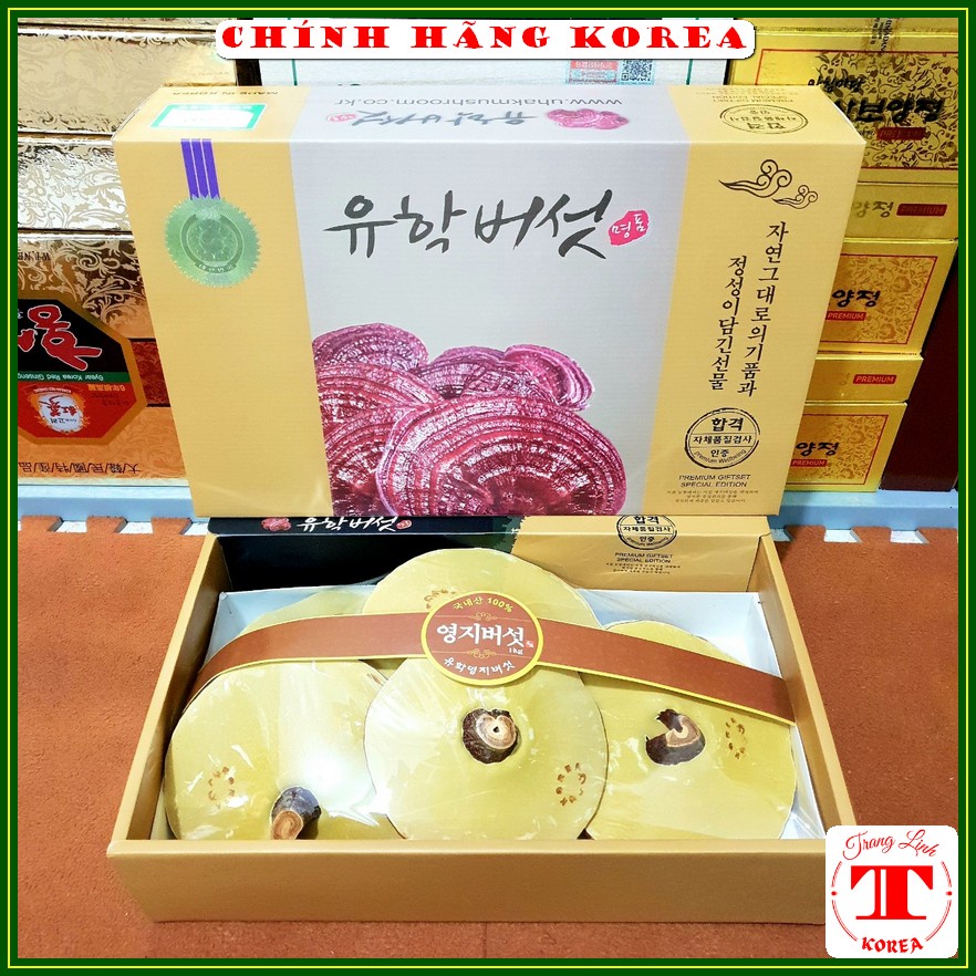 Nấm linh chi hộp quà hàn quốc thượng hạng 1kg - Thanh lọc cơ thể, phòng ngừa ung thư - tranglinh