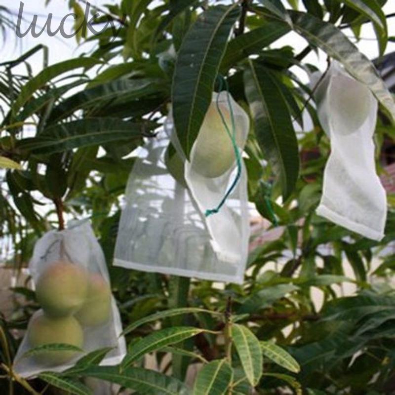 50 túi lưới màu trơn dùng bảo vệ trái cây