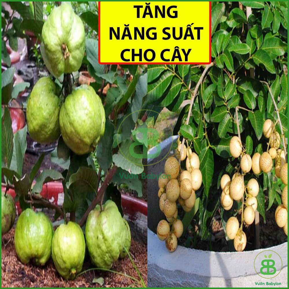 Phân Đạm Ure 500G Giúp Cây Phát Triển Tốt