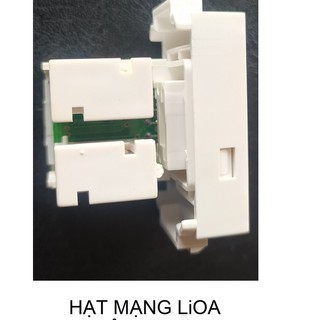 CÁC HẠT TÍN HIỆU LiOA - MÔ ĐUN
