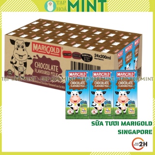 Sữa tươi Marigold vị socola nguyên thùng 24 hộp - Tạp hoá mint