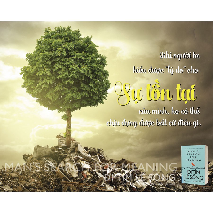 Sách - Đi tìm lẽ sống - FirstNews | BigBuy360 - bigbuy360.vn