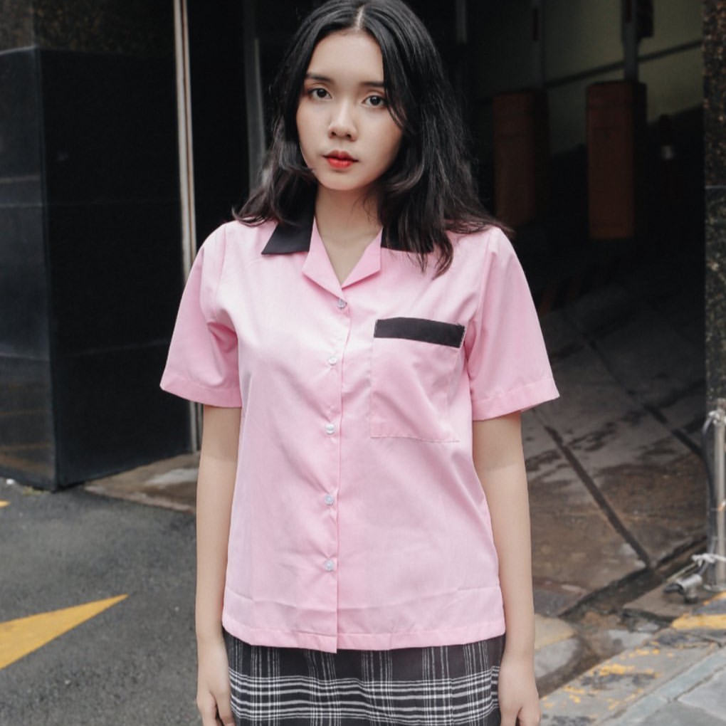 Usthebasic - [Shopee Exclusive] Áo sơ mi Unisex Embroidered Short Sleeves Flamingo Back