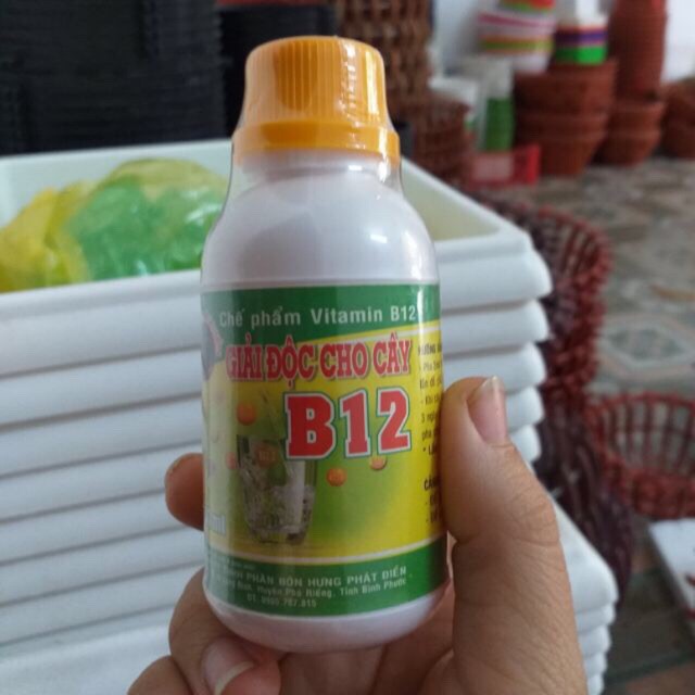 Vitamin B12 - Giải độc cho cây 100ml