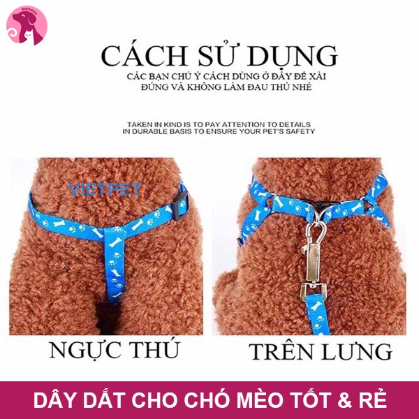 DÂY DẮT ĐAI NGỰA CHO CHÓ, MÈO