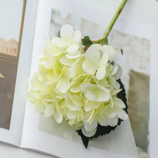 Hoa lụa cẩm tú cầu cao cấp Evelyn HL016
