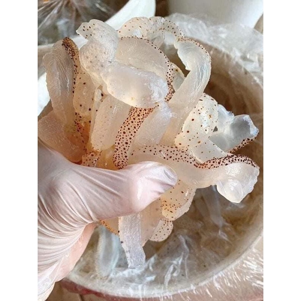 sứa biển ăn liền gói 500gr ♥️GIÁ SỈ ♥️ chuẩn giòn ngon