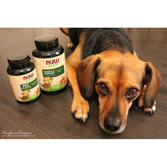 Omega-3 bổ não, dưỡng mắt, tốt cho tim mạch dành cho chó mèo Now Foods for Dogs & Cats Great Fish Flavor 180v