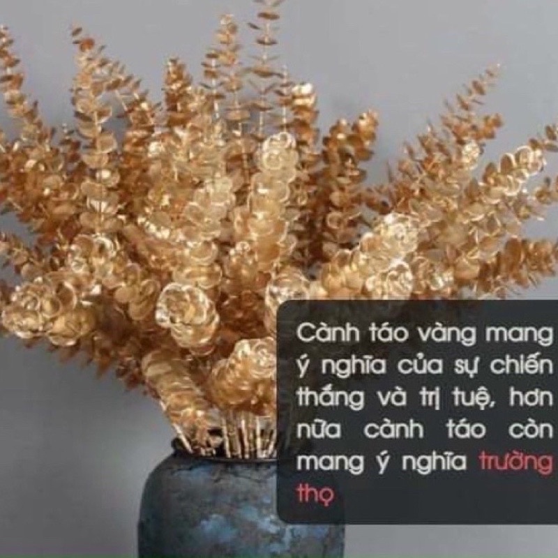 Cành lựu cành đào đông cành hoa vàng rẻ quạt cắm bình hoa ngày tết