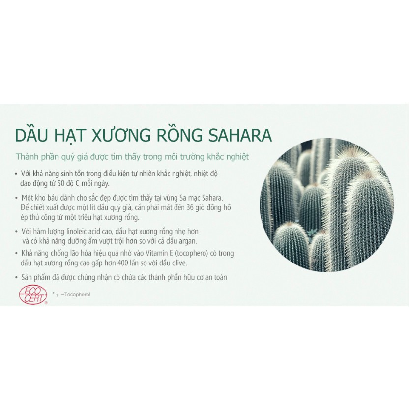 Kem Dưỡng Ẩm Giúp Sáng Da Chiết Xuất Xương Rồng Huxley Secret Of Sahara Cream; More Than Moist 50ml