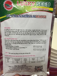 Hạt giống cải củ