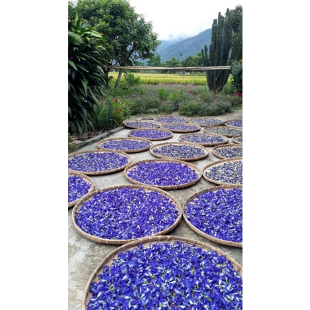 Trà hoa đậu biếc, 100Gram, tăng colagen, ngăn ngừa rụng tóc, giúp tóc đen khỏe óng mượt.....