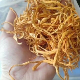 Đông Trùng Hạ Thảo Tăng Cường Miễn Dịch 500gr/1kg