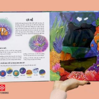 Đèn Pin Khám Phá - Moonlight Ocean - Đại Dương Dưới Ánh Trăng