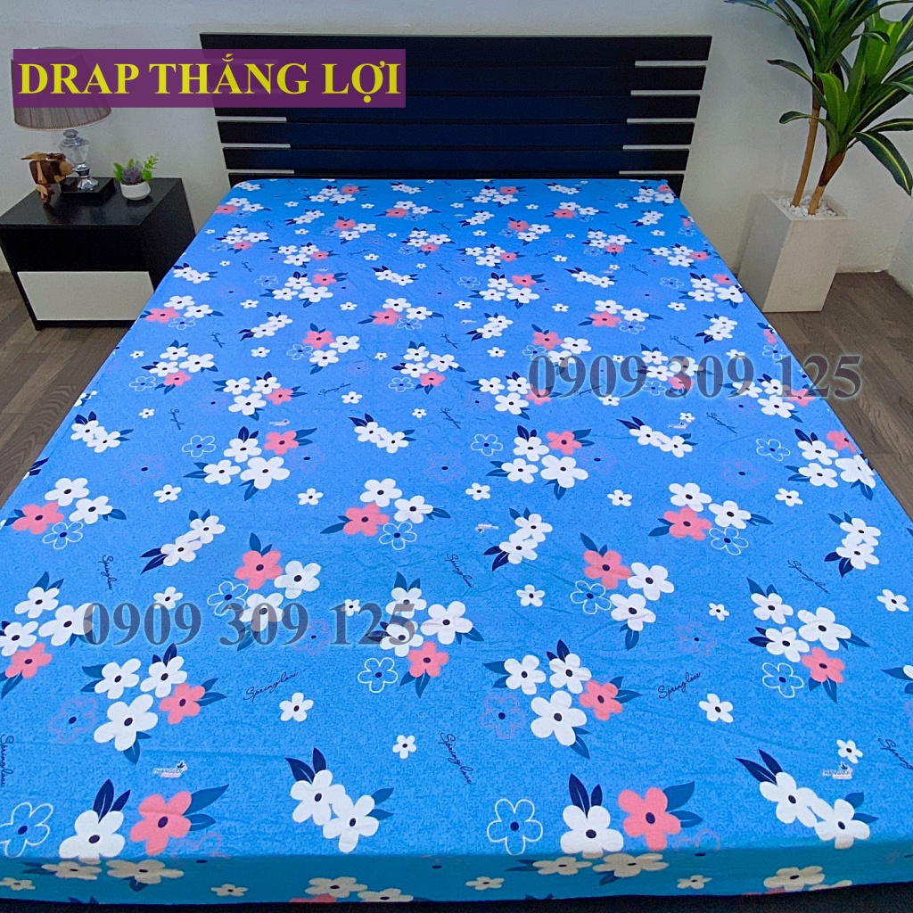 (ảnh thật) Drap cotton Thắng Lợi, ga giường cao cấp thoáng mát mẫu HOA MAI XANH