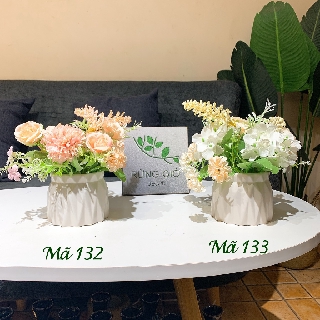 Lọ hoa mini (tặng kèm hoa) i hình đăng, nhiều màu, ảnh thật trang trí bàn trà, bàn làm việc