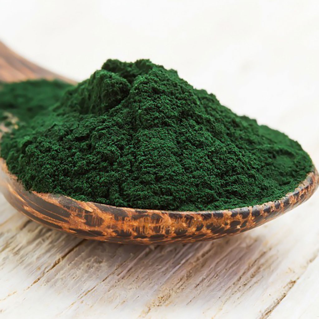 Tảo Bột Spirulina - Thức Ăn Artemia, Cá Cảnh - 500g