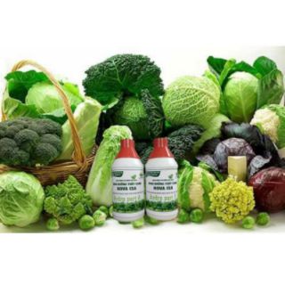 Dinh Dưỡng Thủy Canh NOVA ISA
